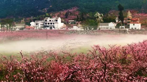 自驾租车桃花谷美景